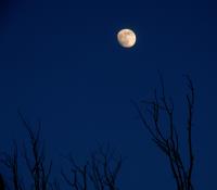 Nebraska Moon�